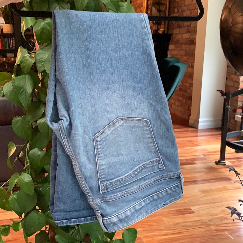 Express Low Rise Jeans